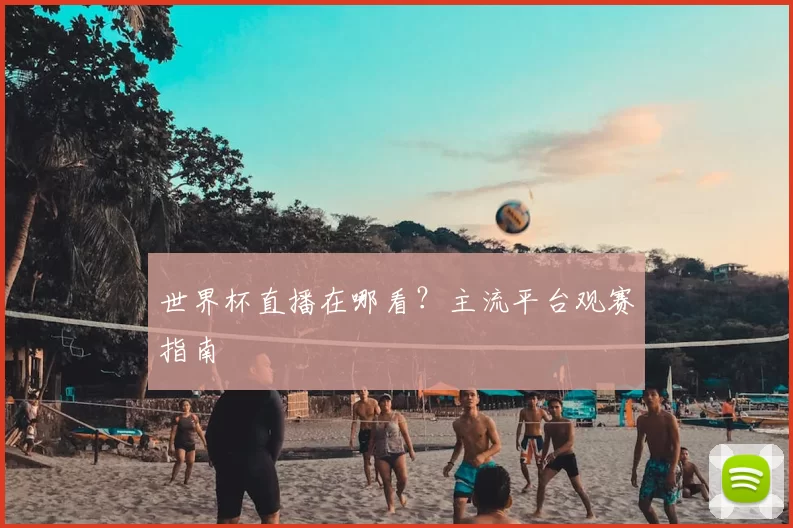 世界杯直播在哪看?主流平台观赛指南