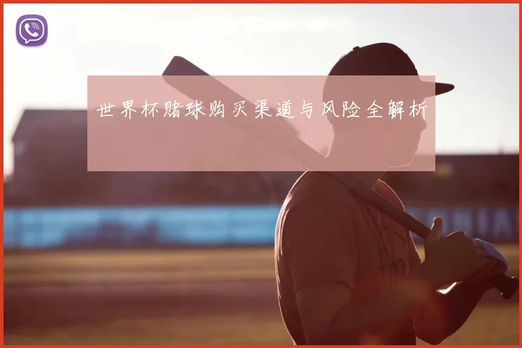 世界杯赌球购买渠道与风险全解析