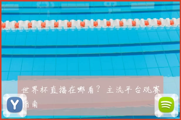 世界杯直播在哪看?主流平台观赛指南