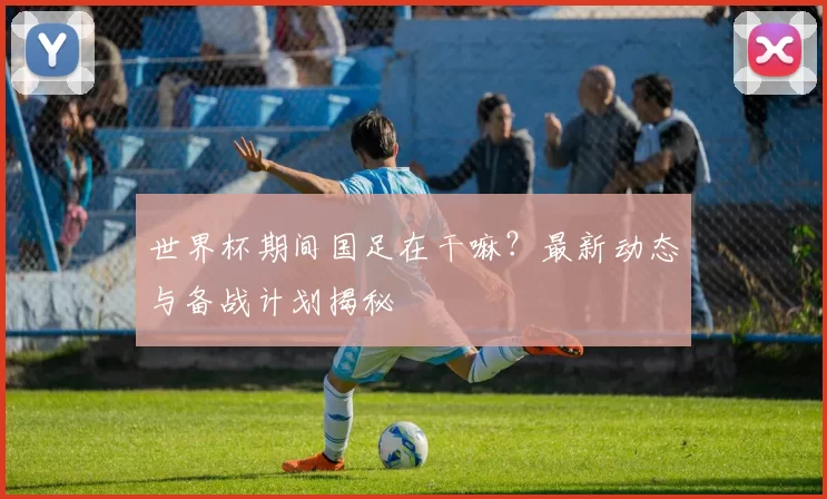 世界杯期间国足在干嘛？最新动态与备战计划揭秘