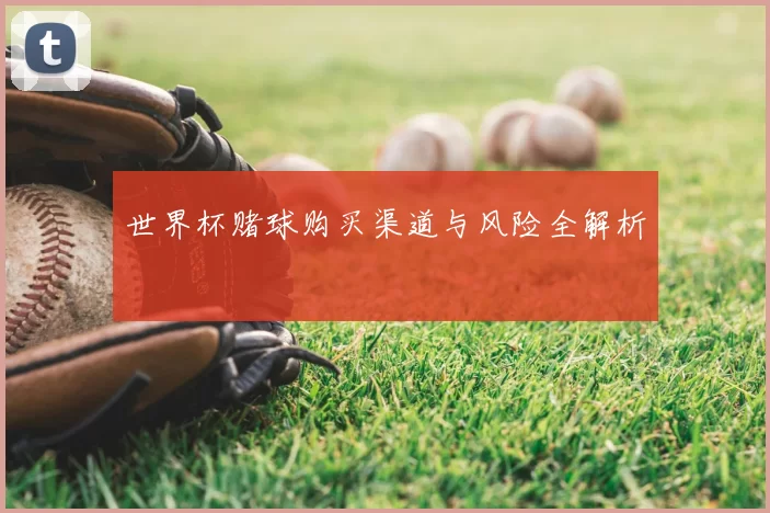 世界杯赌球购买渠道与风险全解析