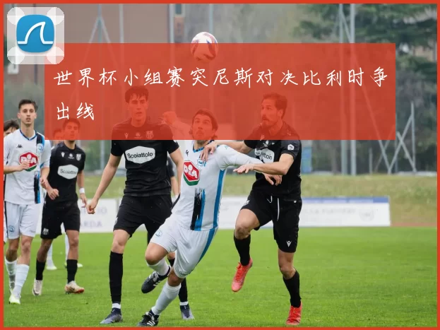 世界杯小组赛突尼斯对决比利时争出线