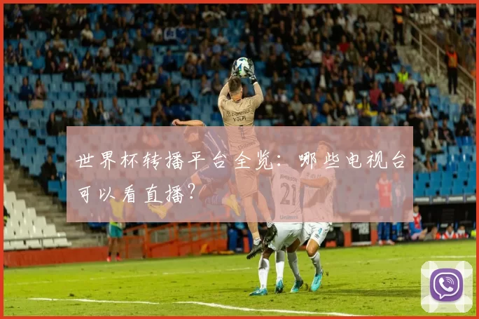 世界杯转播平台全览：哪些电视台可以看直播？