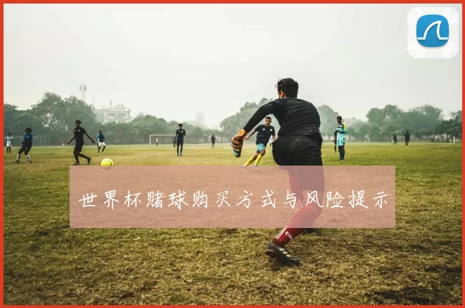 世界杯赌球购买方式与风险提示